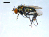  ( - 10PROBE-09198)  @13 [ ] CreativeCommons - Attribution (2011) CBG Photography Group Centre for Biodiversity Genomics