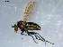  ( - 10PROBE-09228)  @13 [ ] CreativeCommons - Attribution (2011) CBG Photography Group Centre for Biodiversity Genomics