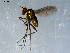  ( - 10PROBE-09277)  @13 [ ] CreativeCommons - Attribution (2011) CBG Photography Group Centre for Biodiversity Genomics