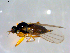  ( - 10PROBE-09029)  @12 [ ] CreativeCommons - Attribution (2011) CBG Photography Group Centre for Biodiversity Genomics