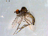  ( - 10PROBE-09037)  @14 [ ] CreativeCommons - Attribution (2011) CBG Photography Group Centre for Biodiversity Genomics