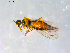  ( - 10PROBE-09038)  @12 [ ] CreativeCommons - Attribution (2011) CBG Photography Group Centre for Biodiversity Genomics