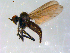 ( - 10PROBE-09044)  @13 [ ] CreativeCommons - Attribution (2011) CBG Photography Group Centre for Biodiversity Genomics