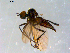  ( - 10PROBE-09047)  @13 [ ] CreativeCommons - Attribution (2011) CBG Photography Group Centre for Biodiversity Genomics