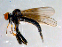  ( - 10PROBE-09062)  @13 [ ] CreativeCommons - Attribution (2011) CBG Photography Group Centre for Biodiversity Genomics