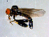  ( - 10PROBE-09073)  @13 [ ] CreativeCommons - Attribution (2011) CBG Photography Group Centre for Biodiversity Genomics