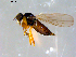  ( - 10PROBE-09077)  @12 [ ] CreativeCommons - Attribution (2011) CBG Photography Group Centre for Biodiversity Genomics