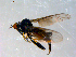  ( - 10PROBE-09085)  @13 [ ] CreativeCommons - Attribution (2011) CBG Photography Group Centre for Biodiversity Genomics