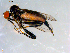  ( - 10PROBE-09094)  @13 [ ] CreativeCommons - Attribution (2011) CBG Photography Group Centre for Biodiversity Genomics