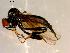  ( - 10PROBE-09110)  @13 [ ] CreativeCommons - Attribution (2011) CBG Photography Group Centre for Biodiversity Genomics