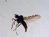  ( - 10PROBE-11326)  @13 [ ] CreativeCommons - Attribution (2011) CBG Photography Group Centre for Biodiversity Genomics