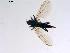  ( - 10PROBE-11340)  @13 [ ] CreativeCommons - Attribution (2011) CBG Photography Group Centre for Biodiversity Genomics