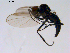  ( - 10PROBE-11347)  @13 [ ] CreativeCommons - Attribution (2011) CBG Photography Group Centre for Biodiversity Genomics
