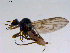 ( - 10PROBE-11355)  @12 [ ] CreativeCommons - Attribution (2011) CBG Photography Group Centre for Biodiversity Genomics