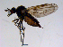  ( - 10PROBE-11360)  @12 [ ] CreativeCommons - Attribution (2011) CBG Photography Group Centre for Biodiversity Genomics