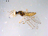  ( - 10PROBE-11395)  @13 [ ] CreativeCommons - Attribution (2011) CBG Photography Group Centre for Biodiversity Genomics