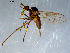  ( - 10PROBE-07886)  @12 [ ] CreativeCommons - Attribution (2011) CBG Photography Group Centre for Biodiversity Genomics