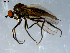  ( - 10PROBE-07902)  @13 [ ] CreativeCommons - Attribution (2011) CBG Photography Group Centre for Biodiversity Genomics