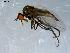  ( - 10PROBE-07904)  @13 [ ] CreativeCommons - Attribution (2011) CBG Photography Group Centre for Biodiversity Genomics