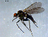  ( - 10PROBE-07931)  @12 [ ] CreativeCommons - Attribution (2011) CBG Photography Group Centre for Biodiversity Genomics