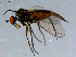  ( - 10PROBE-08413)  @13 [ ] CreativeCommons - Attribution (2011) CBG Photography Group Centre for Biodiversity Genomics