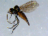  ( - 10PROBE-08429)  @14 [ ] CreativeCommons - Attribution (2011) CBG Photography Group Centre for Biodiversity Genomics