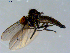  ( - 10PROBE-08431)  @13 [ ] CreativeCommons - Attribution (2011) CBG Photography Group Centre for Biodiversity Genomics