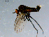  ( - 10PROBE-08436)  @13 [ ] CreativeCommons - Attribution (2011) CBG Photography Group Centre for Biodiversity Genomics
