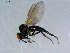  ( - 10PROBE-08452)  @14 [ ] CreativeCommons - Attribution (2011) CBG Photography Group Centre for Biodiversity Genomics