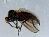  ( - 10PROBE-08477)  @12 [ ] CreativeCommons - Attribution (2011) CBG Photography Group Centre for Biodiversity Genomics