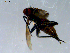  ( - 10PROBE-08478)  @12 [ ] CreativeCommons - Attribution (2011) CBG Photography Group Centre for Biodiversity Genomics