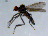  ( - 10PROBE-08490)  @14 [ ] CreativeCommons - Attribution (2011) CBG Photography Group Centre for Biodiversity Genomics