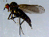  ( - 10PROBE-08509)  @12 [ ] CreativeCommons - Attribution (2011) CBG Photography Group Centre for Biodiversity Genomics