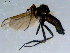  ( - 10PROBE-08510)  @12 [ ] CreativeCommons - Attribution (2011) CBG Photography Group Centre for Biodiversity Genomics