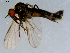  ( - 10PROBE-08519)  @13 [ ] CreativeCommons - Attribution (2011) CBG Photography Group Centre for Biodiversity Genomics