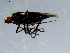  ( - 10PROBE-08524)  @12 [ ] CreativeCommons - Attribution (2011) CBG Photography Group Centre for Biodiversity Genomics