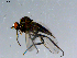  ( - 10PROBE-08543)  @13 [ ] CreativeCommons - Attribution (2011) CBG Photography Group Centre for Biodiversity Genomics