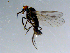  ( - 10PROBE-08544)  @13 [ ] CreativeCommons - Attribution (2011) CBG Photography Group Centre for Biodiversity Genomics