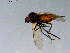  ( - 10PROBE-08545)  @13 [ ] CreativeCommons - Attribution (2011) CBG Photography Group Centre for Biodiversity Genomics