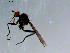  ( - 10PROBE-08559)  @12 [ ] CreativeCommons - Attribution (2011) CBG Photography Group Centre for Biodiversity Genomics