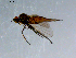  ( - 10PROBE-08560)  @13 [ ] CreativeCommons - Attribution (2011) CBG Photography Group Centre for Biodiversity Genomics