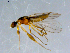  ( - 10PROBE-08583)  @13 [ ] CreativeCommons - Attribution (2011) CBG Photography Group Centre for Biodiversity Genomics
