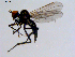  ( - 10PROBE-08597)  @13 [ ] CreativeCommons - Attribution (2011) CBG Photography Group Centre for Biodiversity Genomics