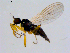  ( - 10PROBE-08614)  @12 [ ] CreativeCommons - Attribution (2011) CBG Photography Group Centre for Biodiversity Genomics