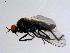  ( - 10PROBE-08629)  @13 [ ] CreativeCommons - Attribution (2011) CBG Photography Group Centre for Biodiversity Genomics
