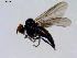  ( - 10PROBE-08632)  @13 [ ] CreativeCommons - Attribution (2011) CBG Photography Group Centre for Biodiversity Genomics