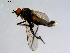  ( - 10PROBE-08644)  @13 [ ] CreativeCommons - Attribution (2011) CBG Photography Group Centre for Biodiversity Genomics