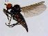  ( - 10PROBE-08648)  @13 [ ] CreativeCommons - Attribution (2011) CBG Photography Group Centre for Biodiversity Genomics