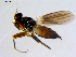 ( - 10PROBE-08654)  @12 [ ] CreativeCommons - Attribution (2011) CBG Photography Group Centre for Biodiversity Genomics