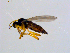 ( - 10PROBE-08665)  @12 [ ] CreativeCommons - Attribution (2011) CBG Photography Group Centre for Biodiversity Genomics